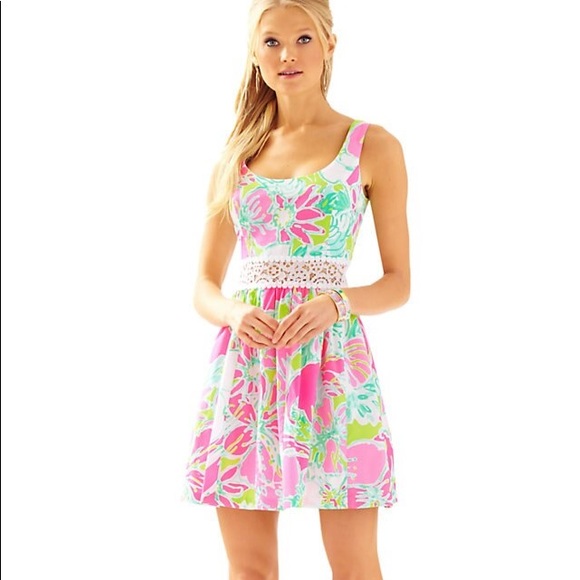 Lilly Pulitzer Rosemarie Printed Scoop Neck Dress - Picture 6 of 6